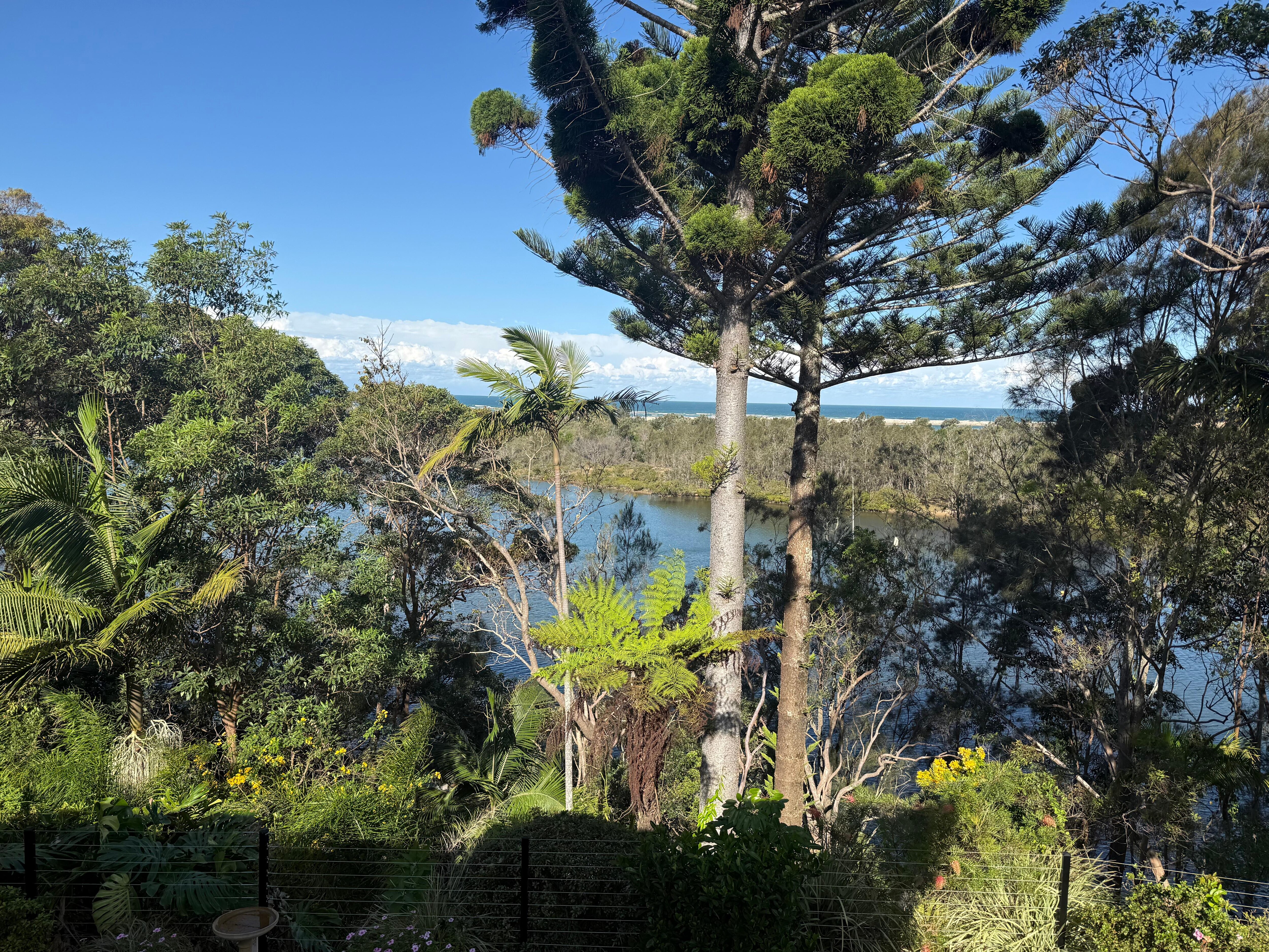 View from room