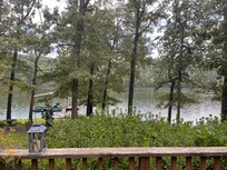 View from back deck