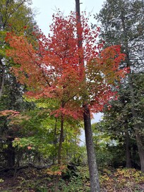 Beautiful places to walk
