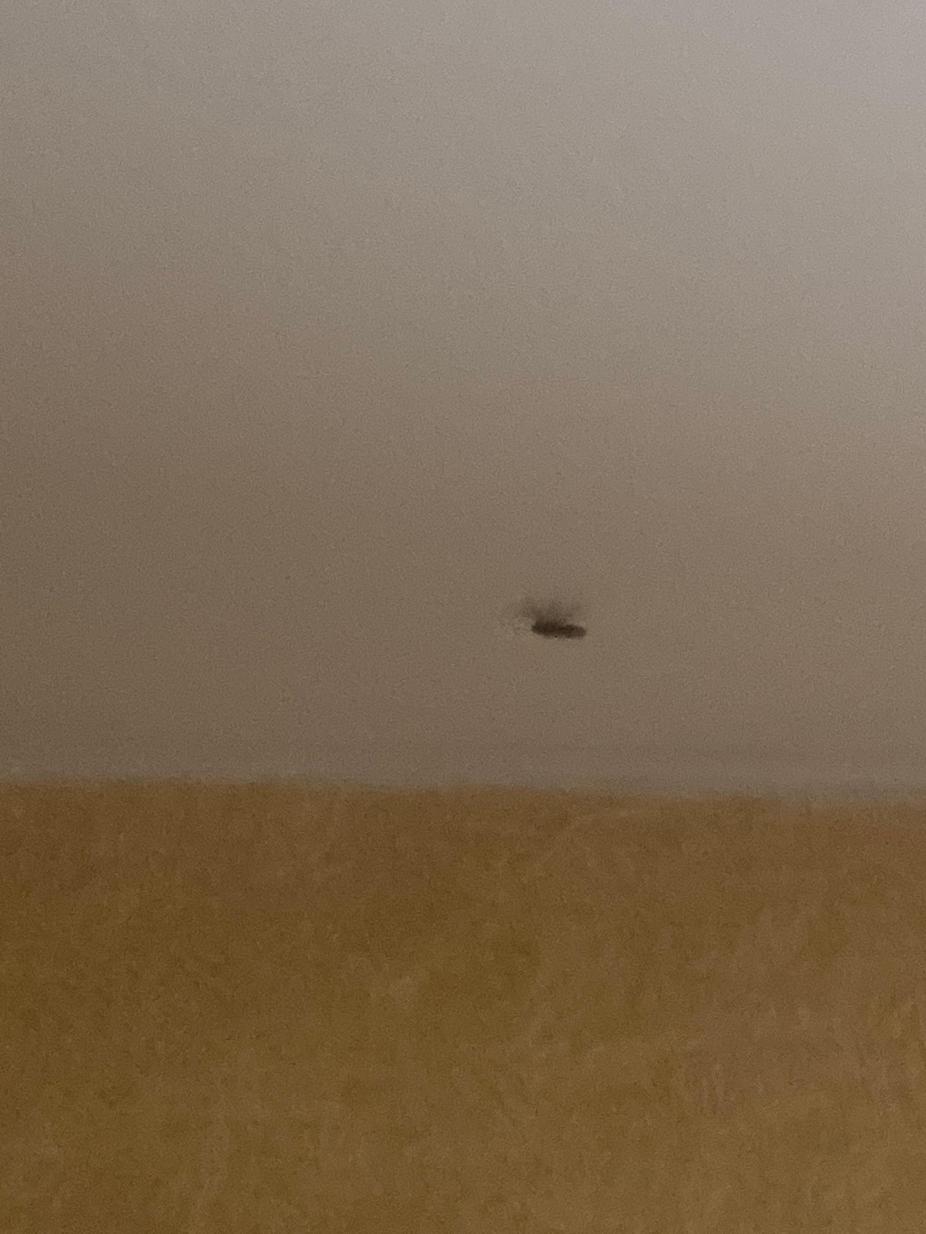 Flies in the room