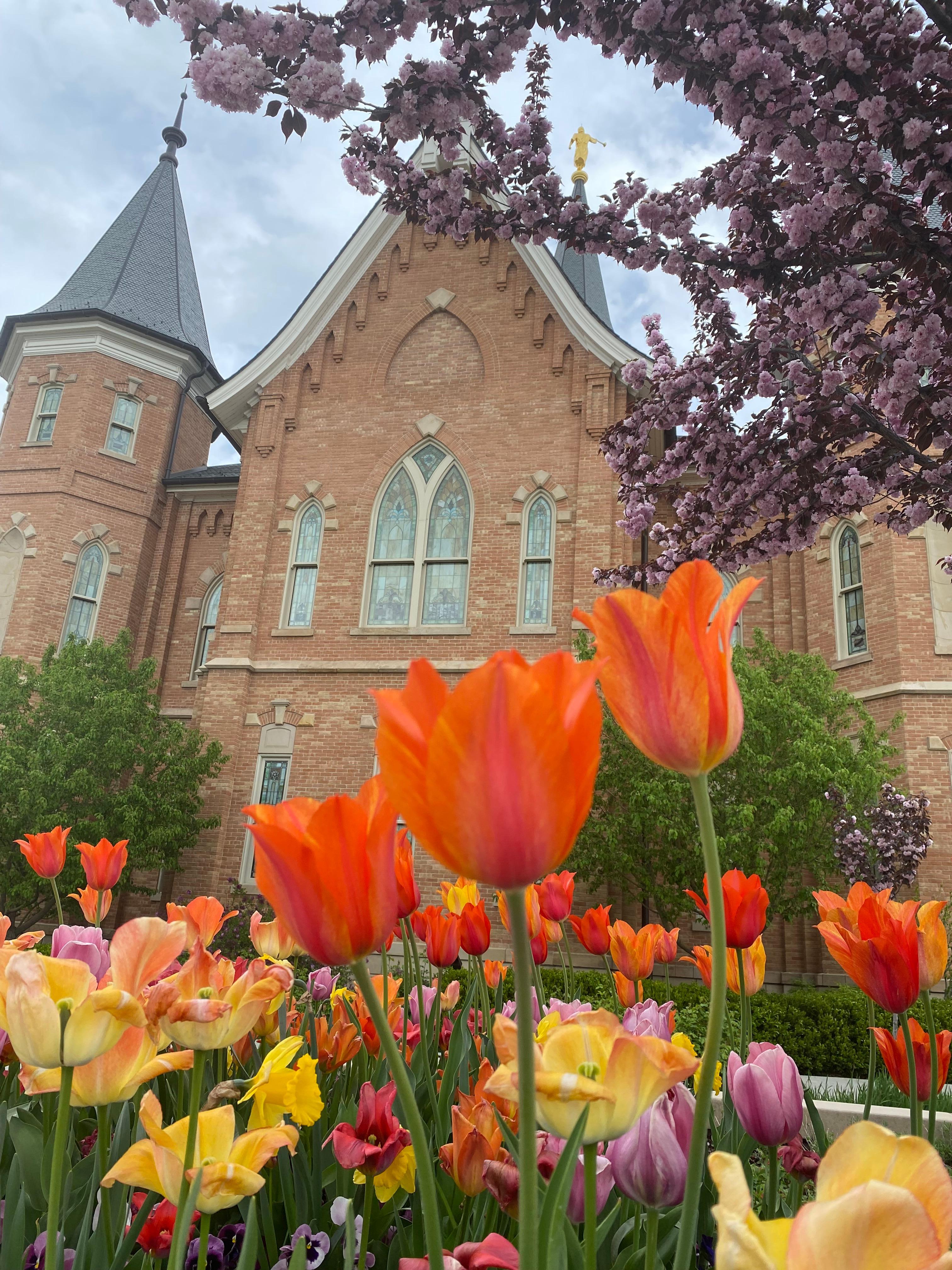 Provo City Center Temple