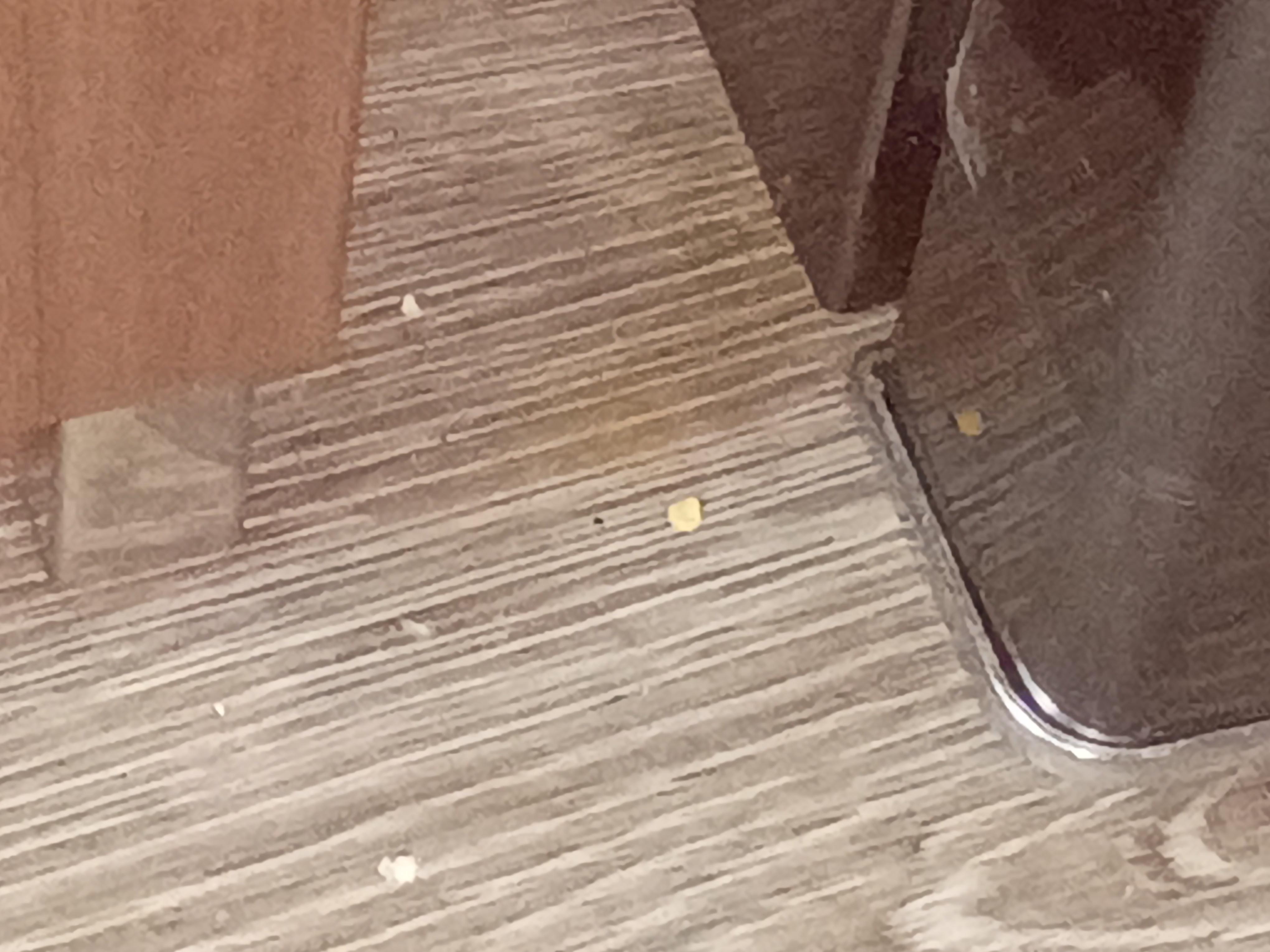 Floor between the fridge & counter