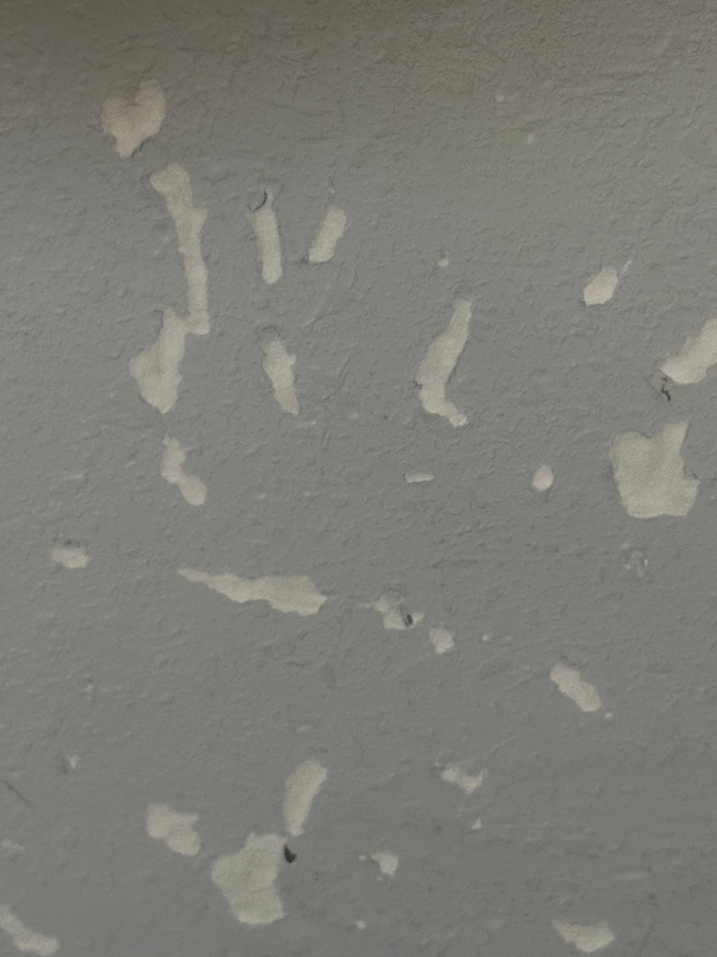 Another section of wall 