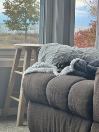 Our littlest enjoying some snoozes