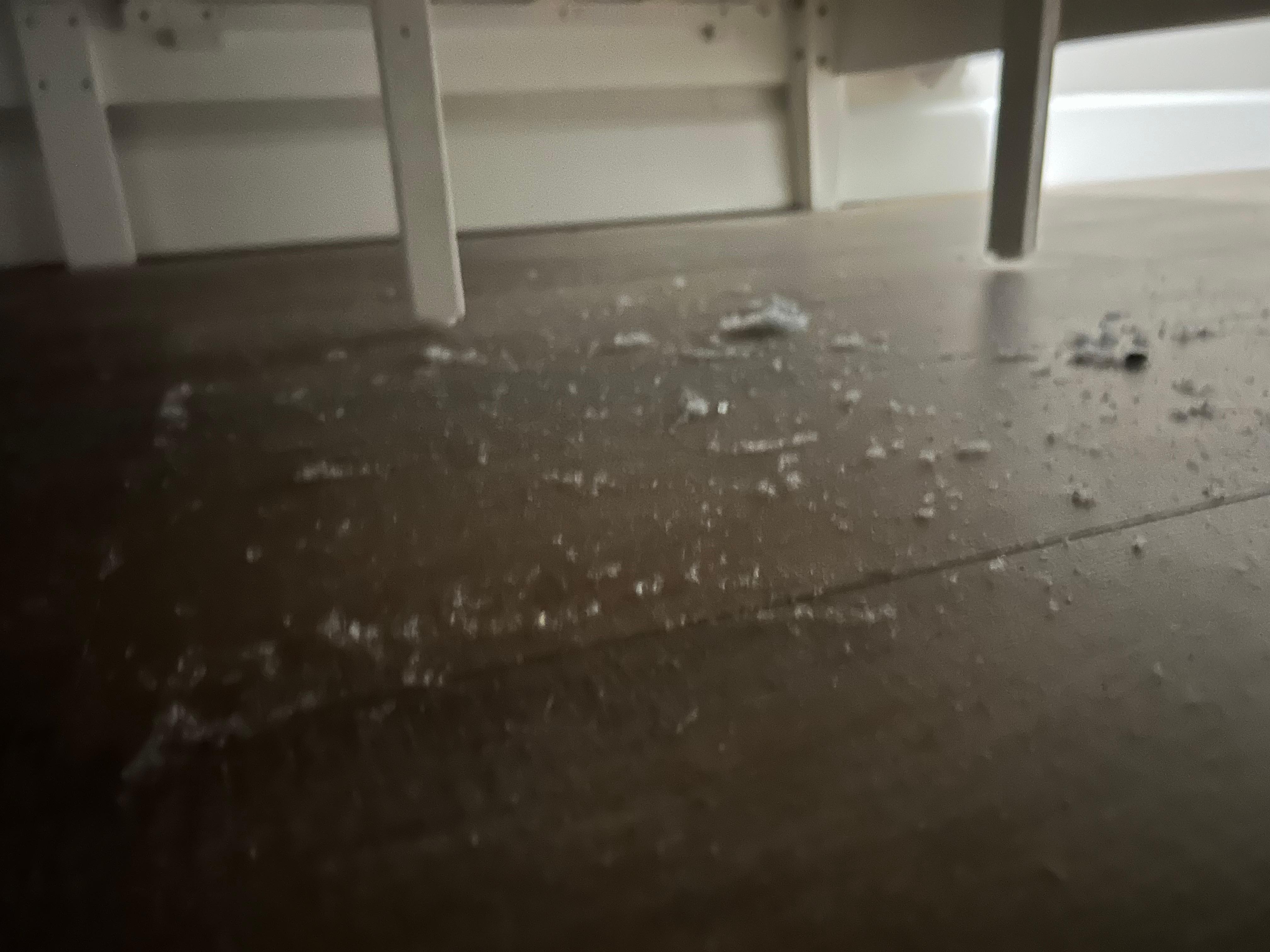 Dust and dirt under the spare bedroom.