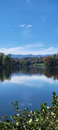 Lake view