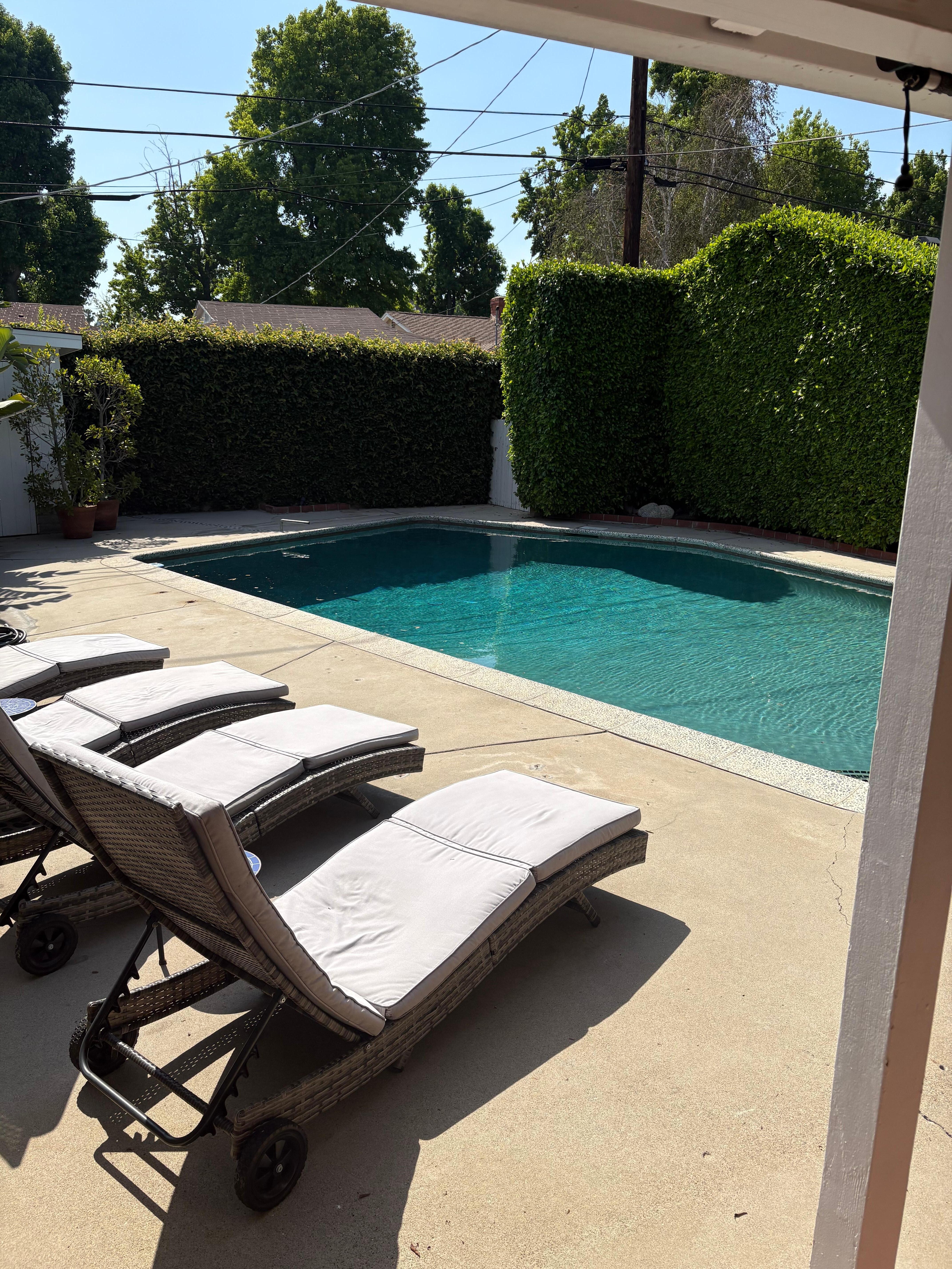 Backyard pool