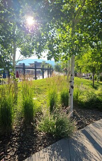 Downtown early morning