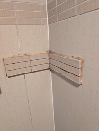 Posible mold
