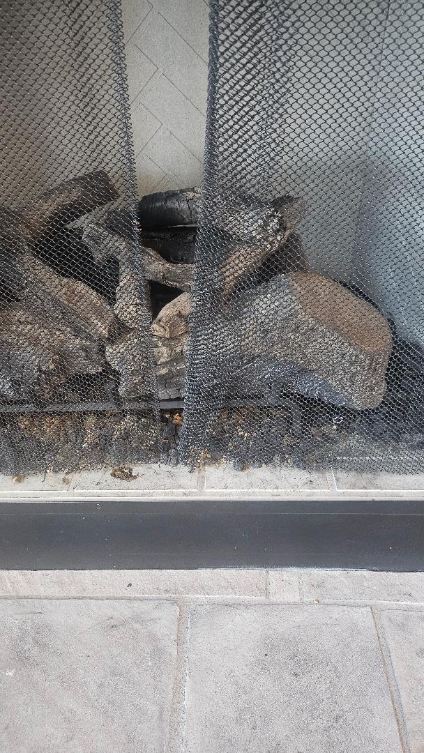 Fireplace in the family room that did not work nor the ceiling fan and dvd player