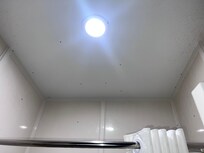 Lady bugs all in the restroom ceiling