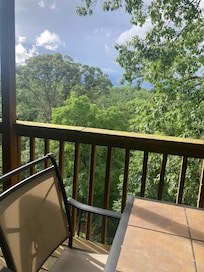 Views from the porch!