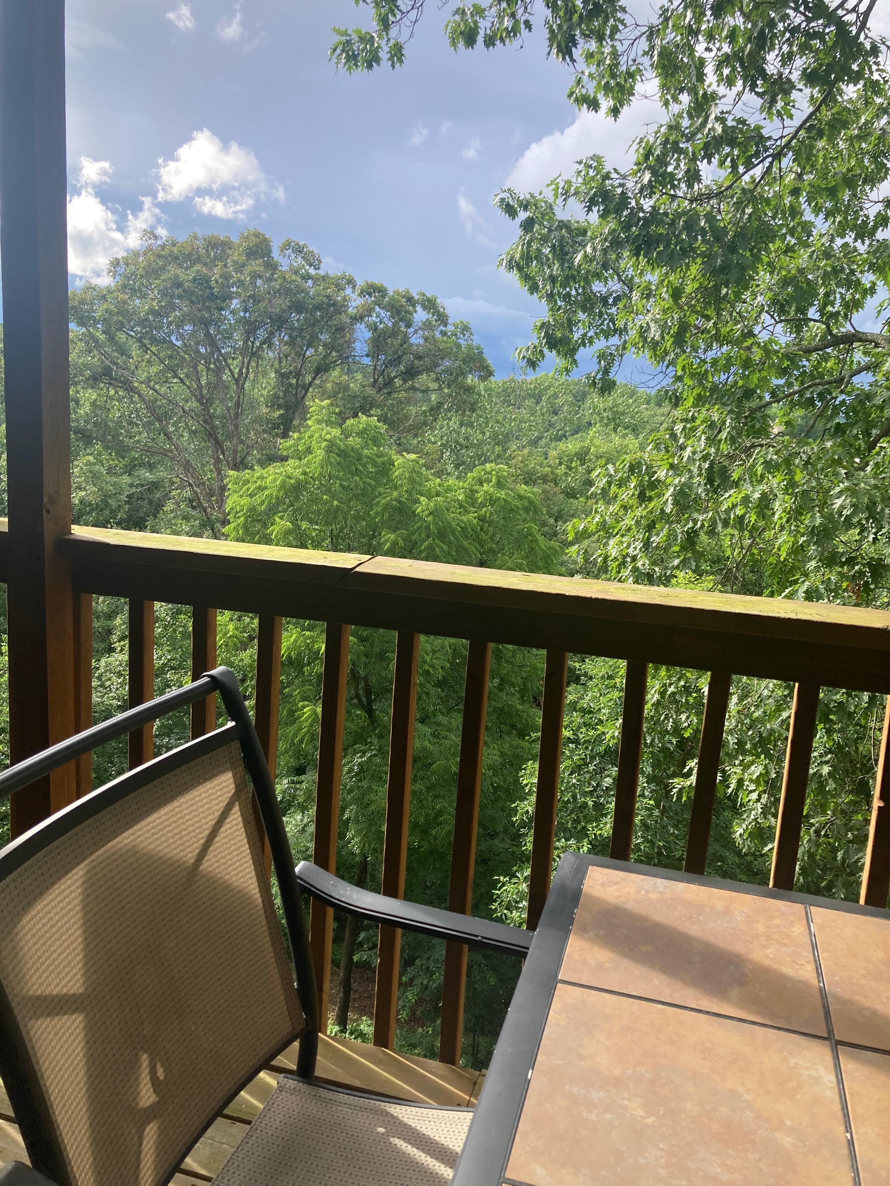 Views from the porch! 