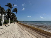 In June, the sargassum was pretty heavy.