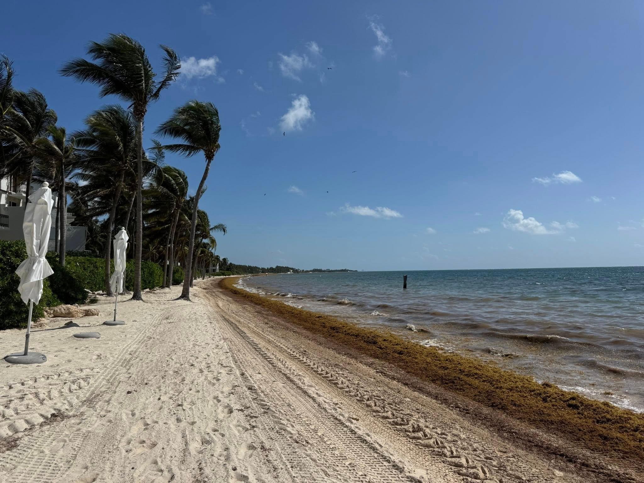 In June, the sargassum was pretty heavy.