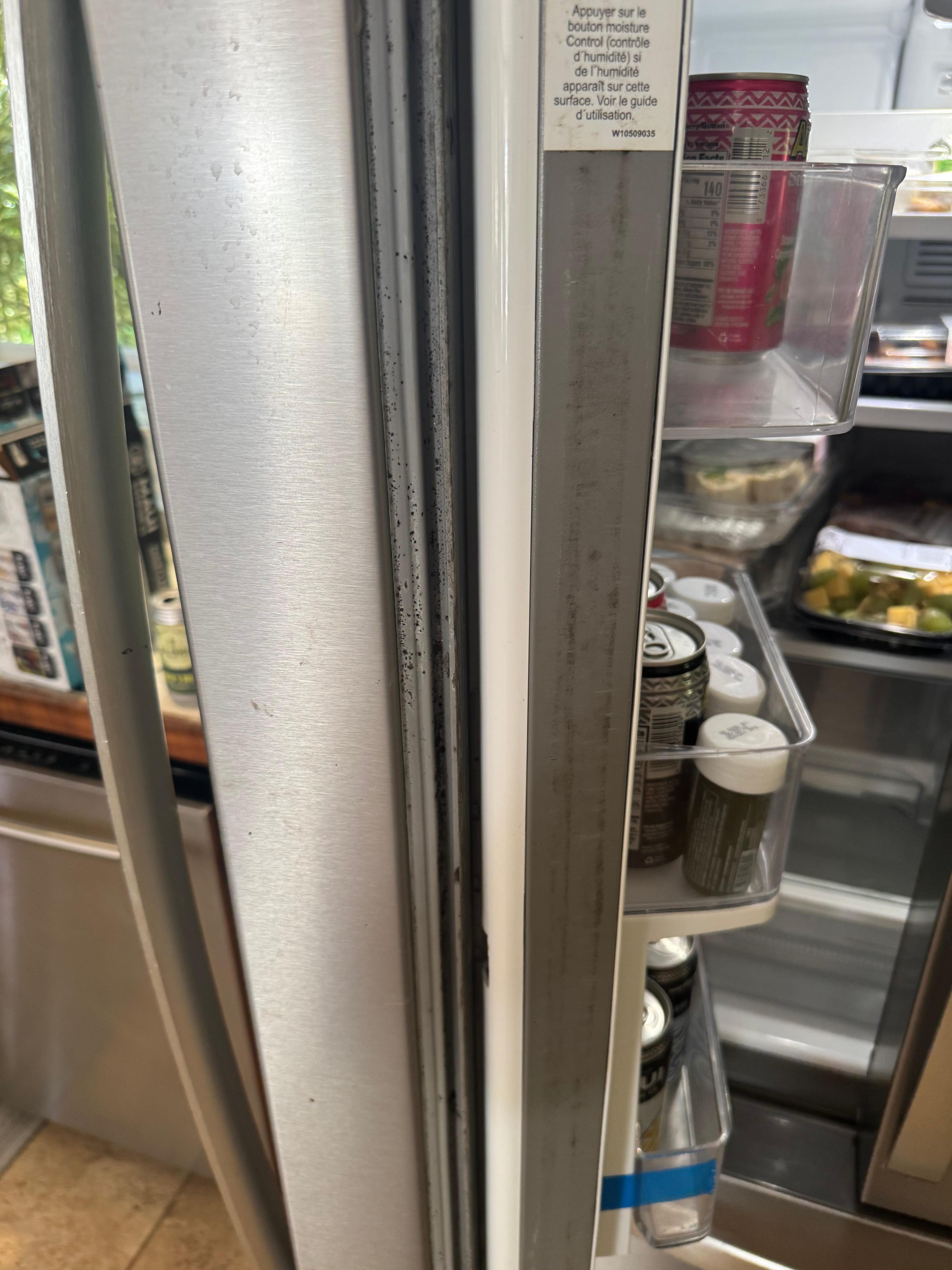 Mold in fridge