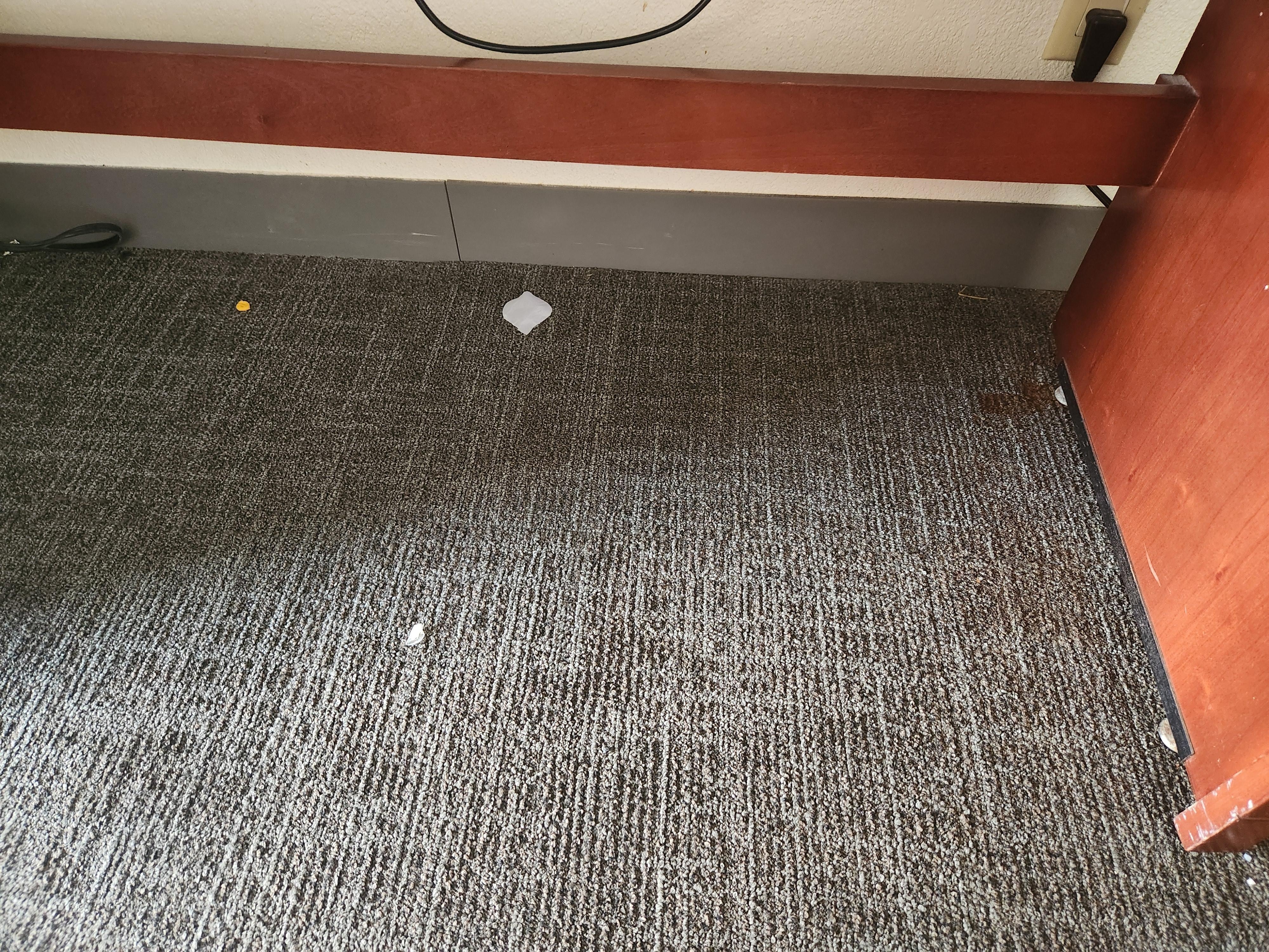 Debris on carpet. Hadn't been vacuumed.