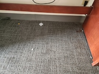 Debris on carpet. Hadn't been vacuumed.