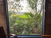 Vue depuis notre véranda