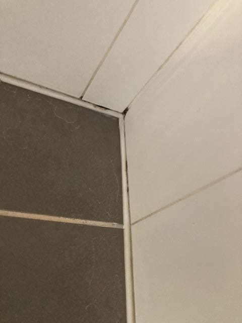 Shower Cubicle needs mould removed.