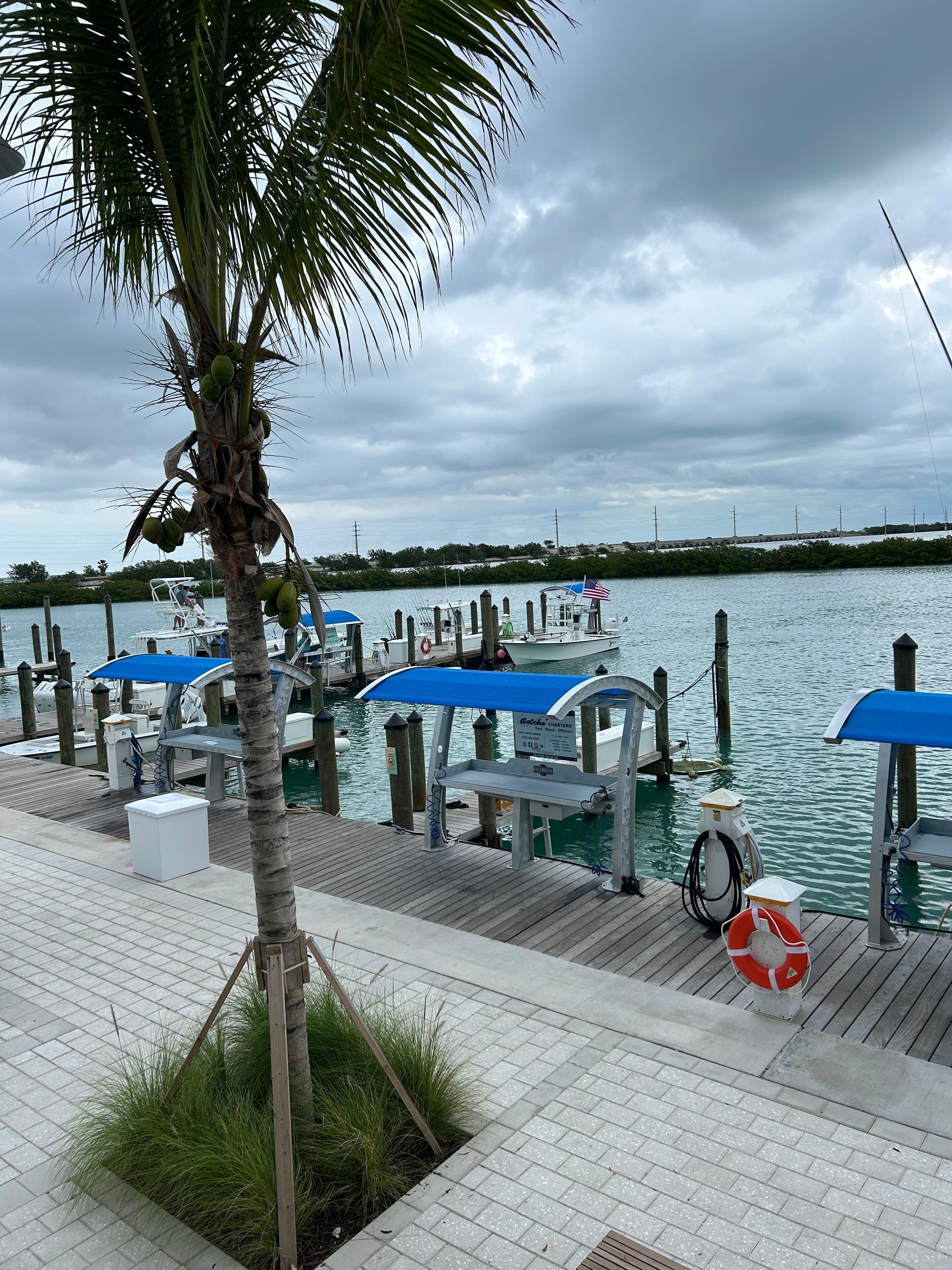 A look at the marina from restaurant 