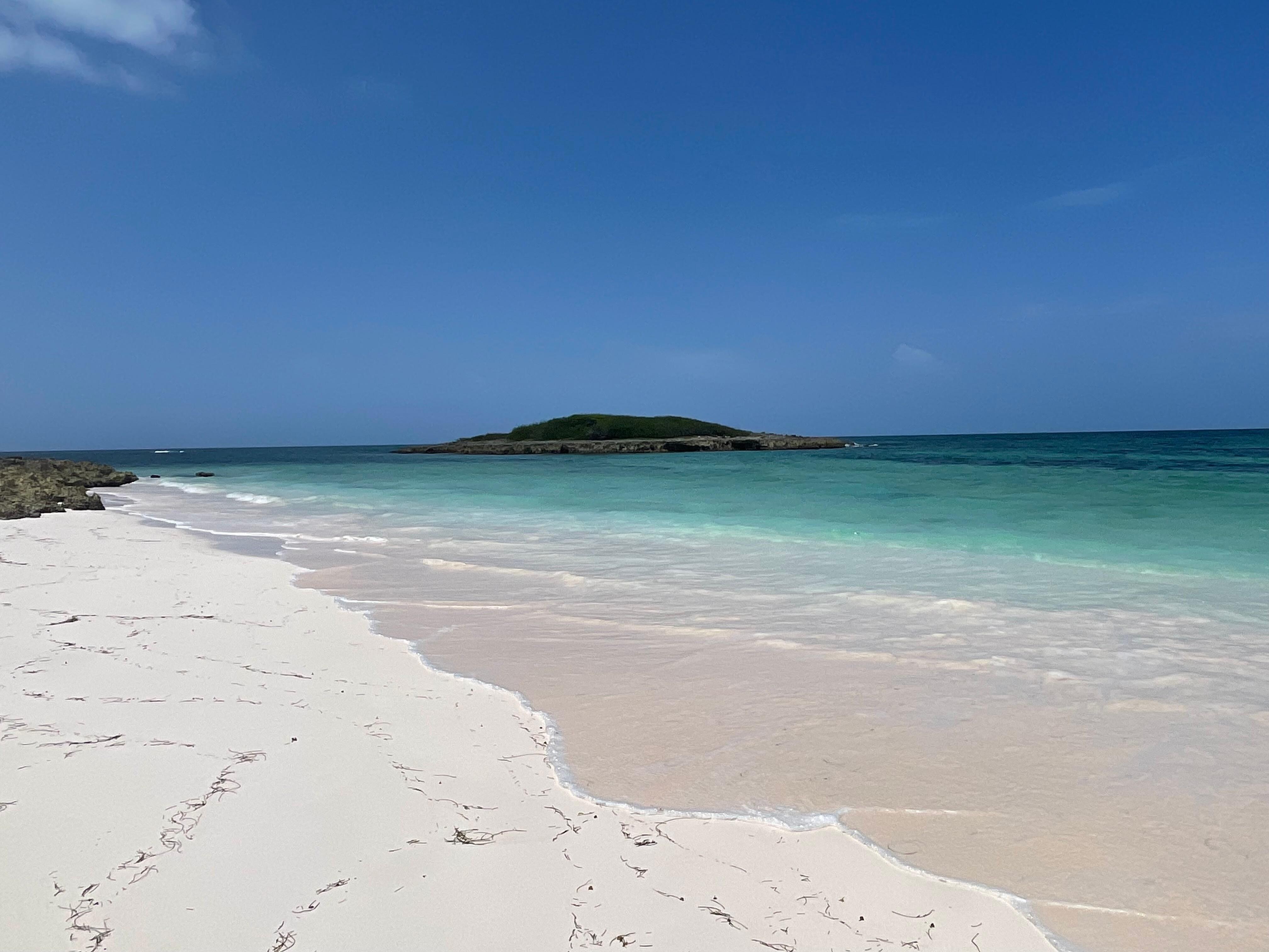 French Leave Beach looking left