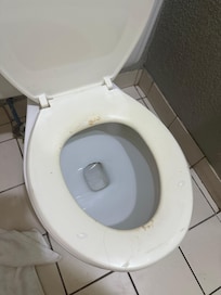 Nasty toilet