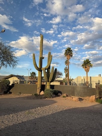 We love the cactuses