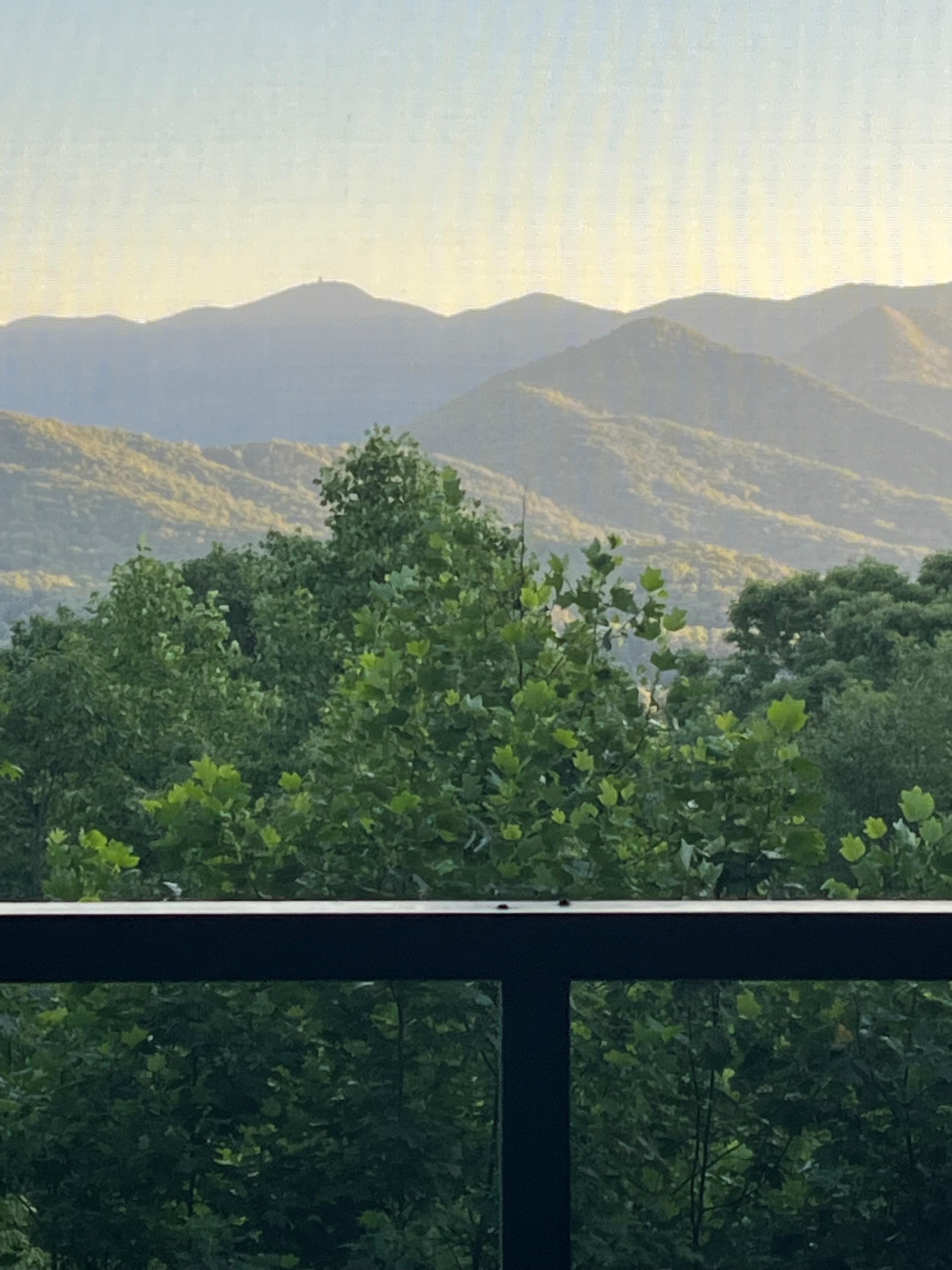 Golden hour view!