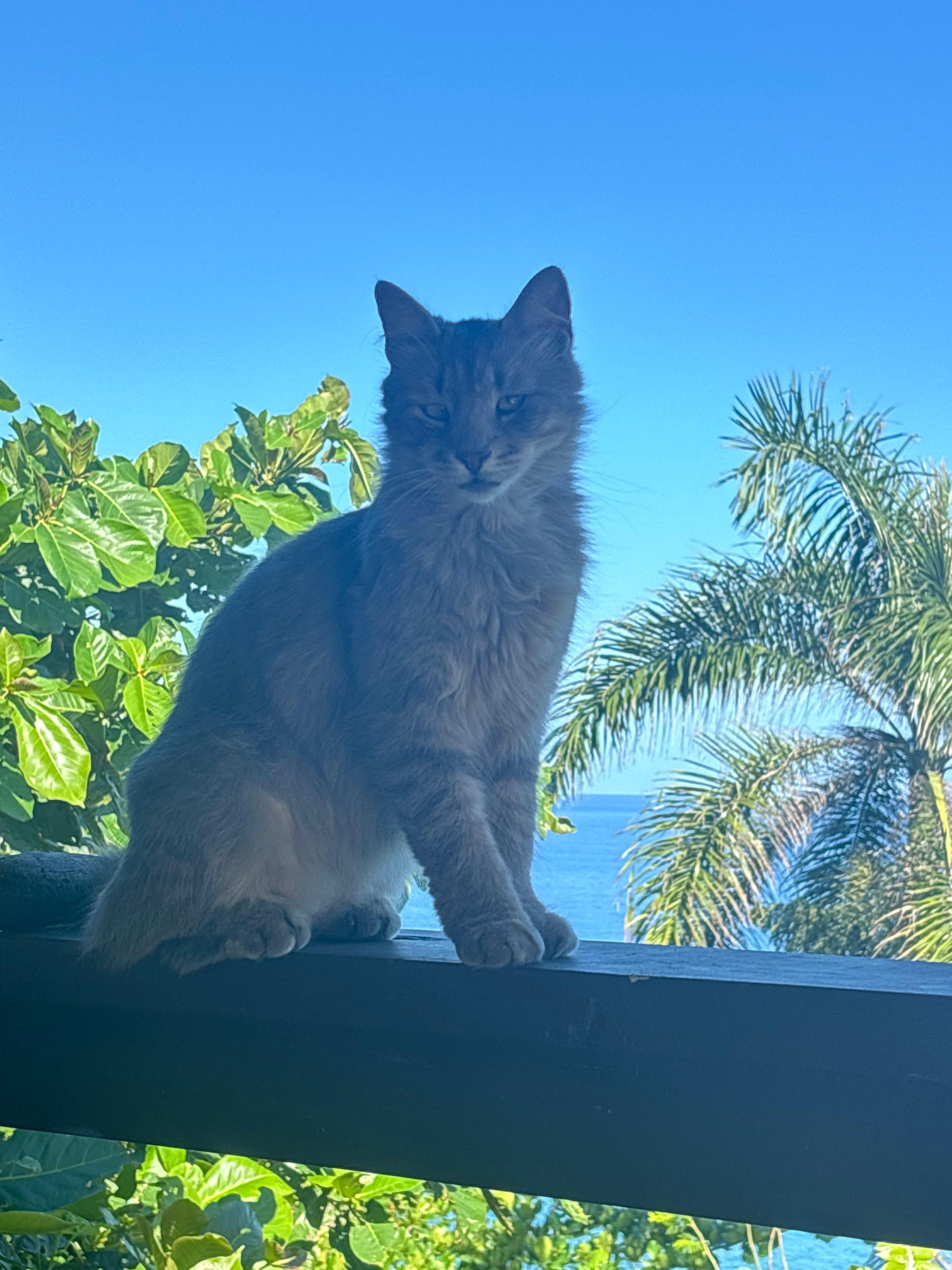 Sake is such a posser.   