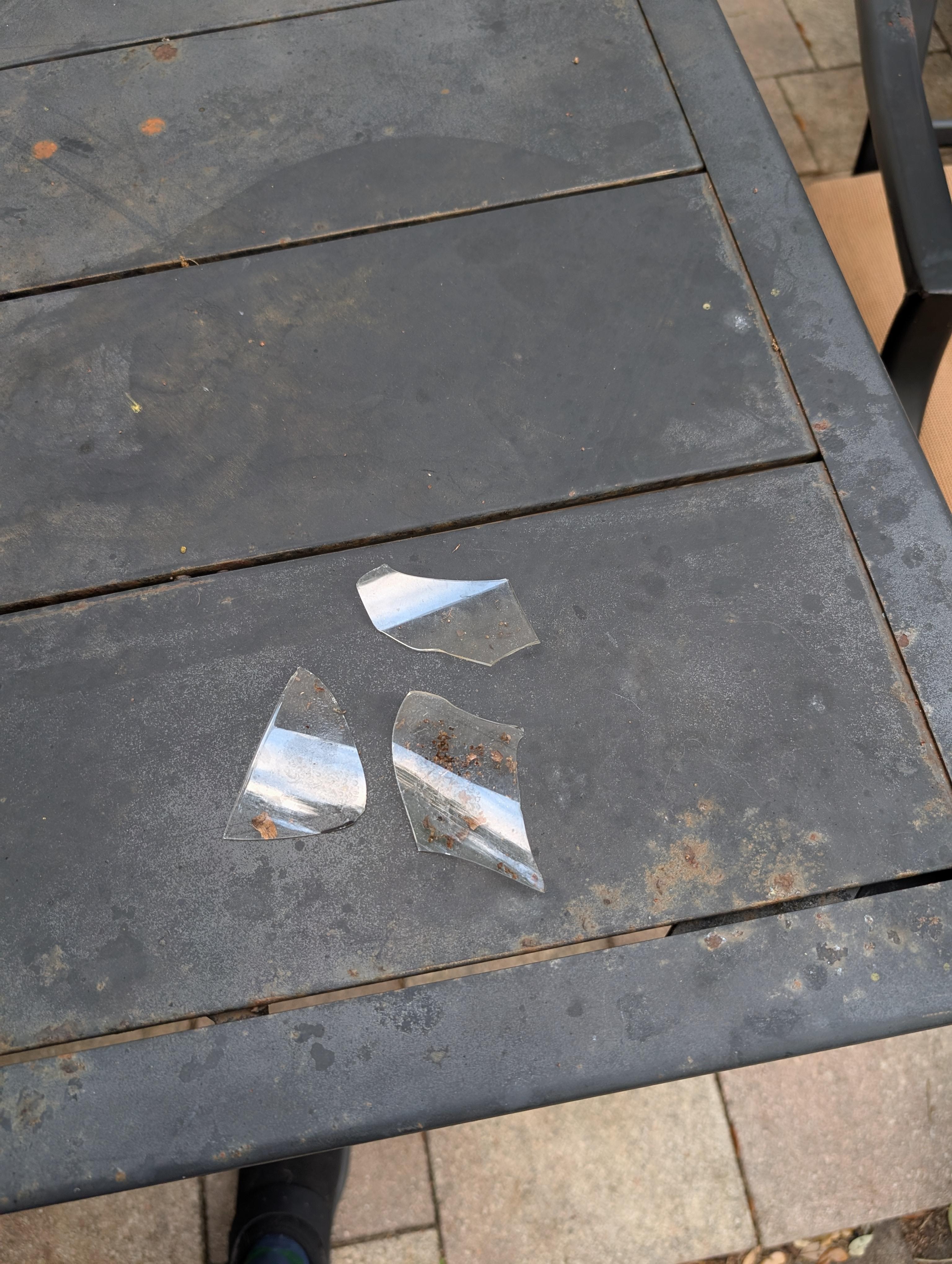 Glass was found in the grass in the back yard