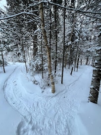 The road less traveled….