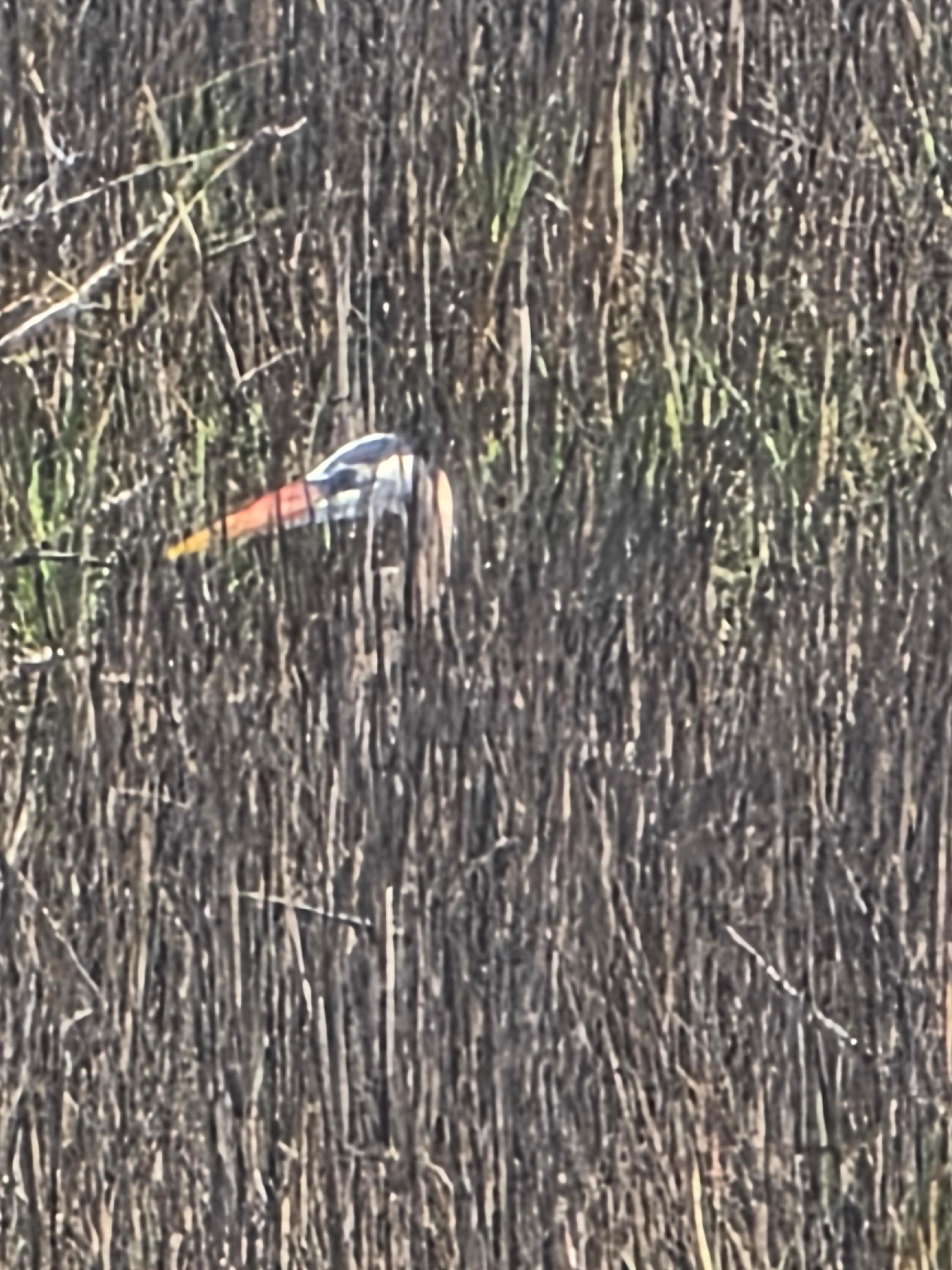 North Cove Harbor Wetland Sanctuary which was 2 minutes away from the VRBO