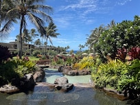 Resort view from lobby