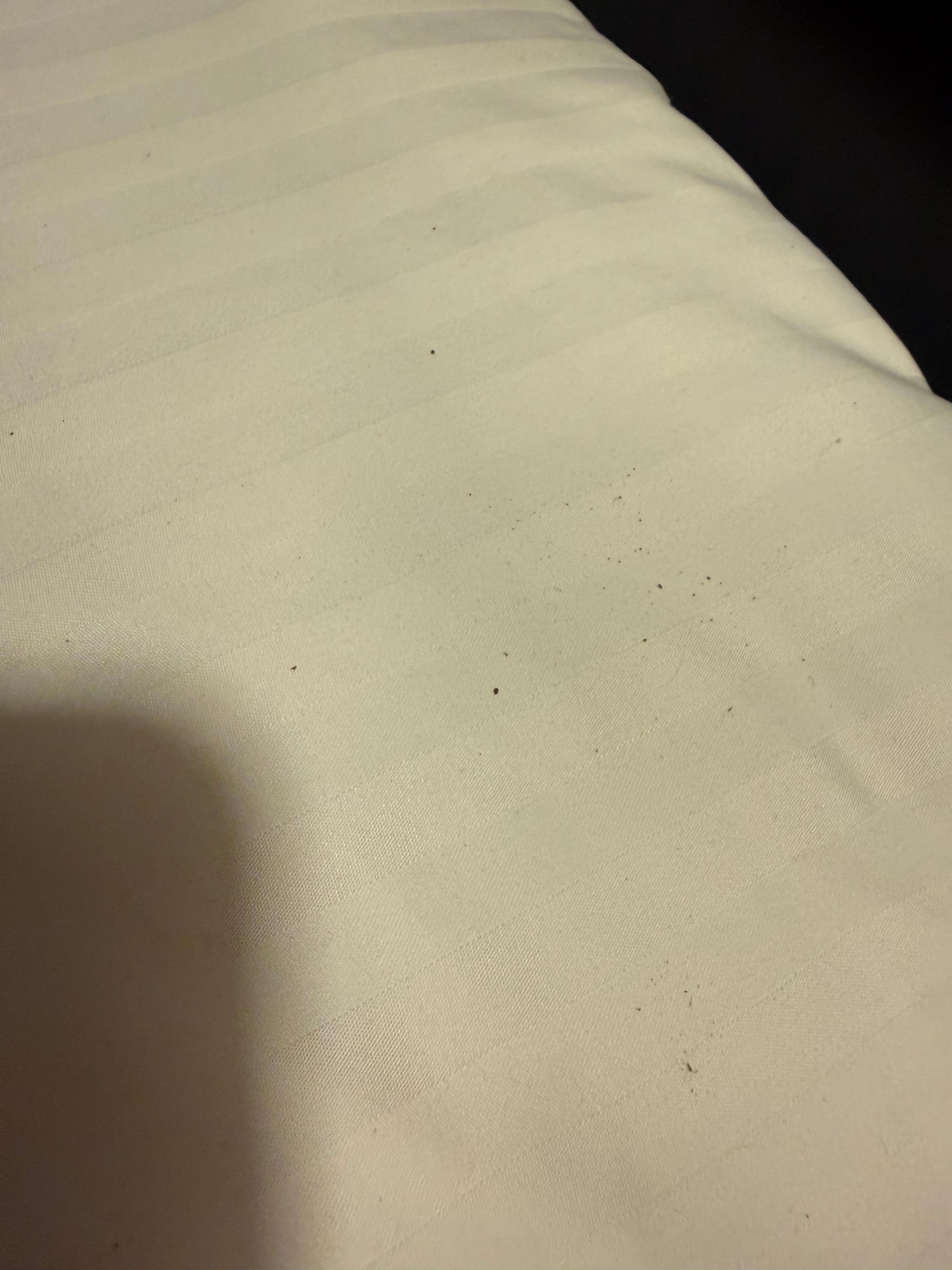 Dirty sheet