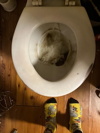 Bathroom from initial room