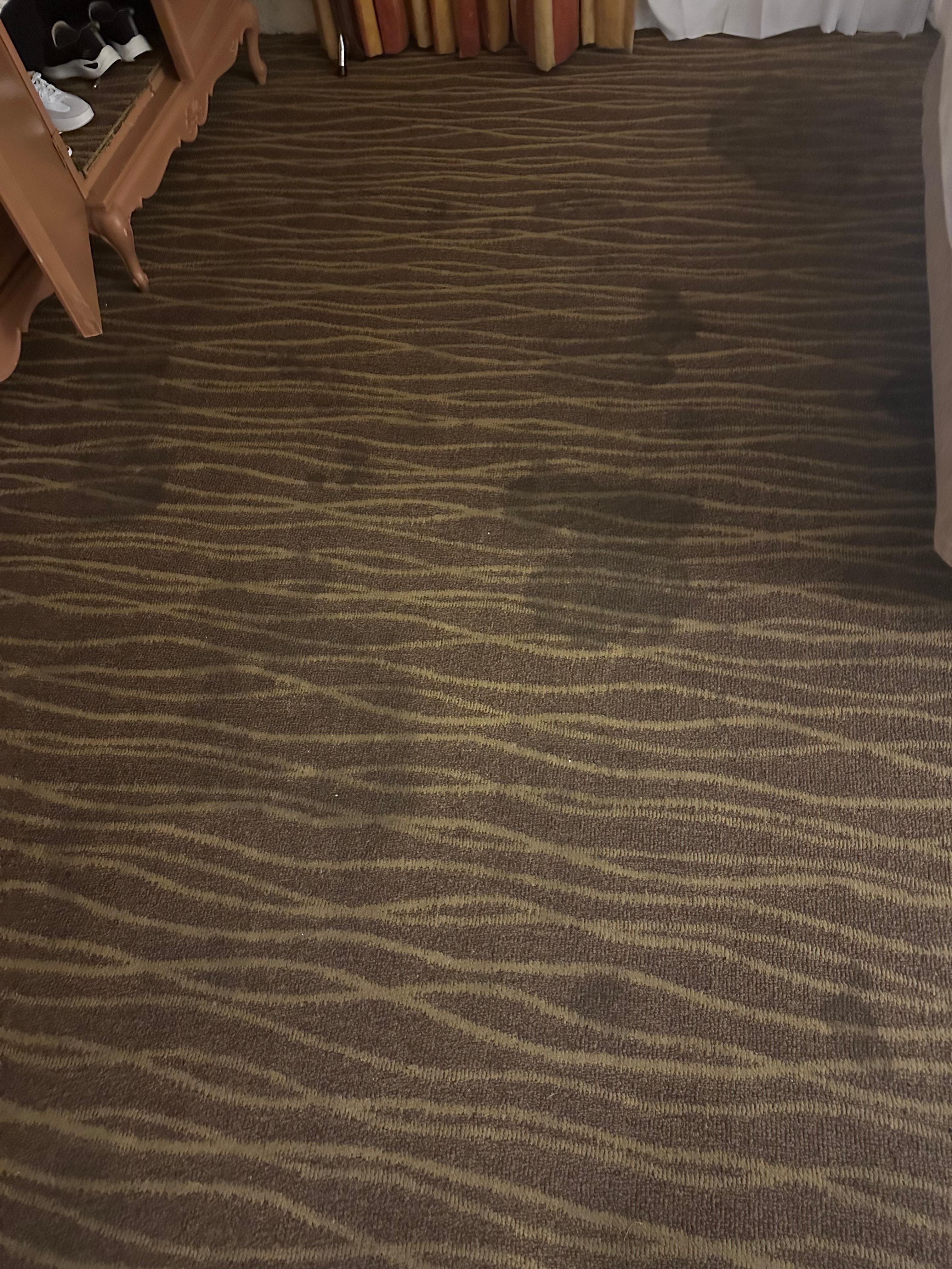 Dirty carpet bedroom 