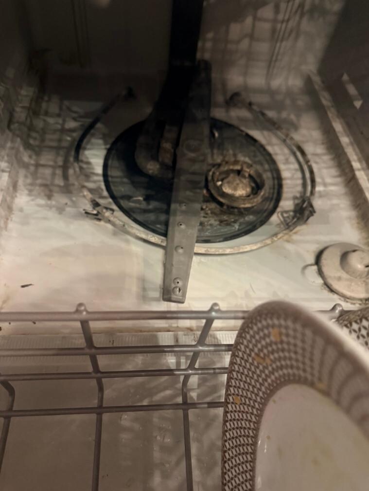Black mold in the dishwasher 