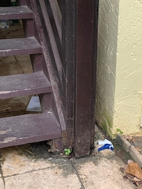 Stairway to hotel room