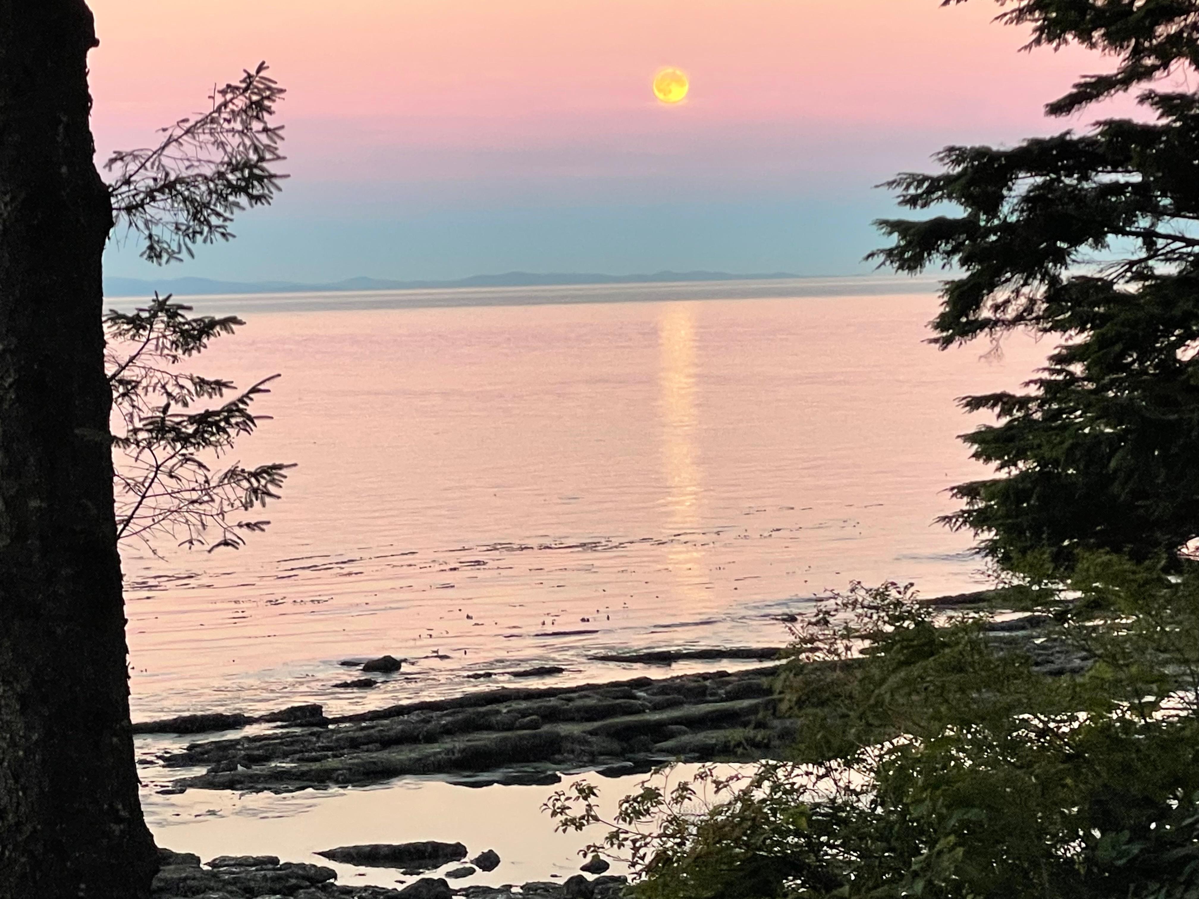 Full moon from our backyard 