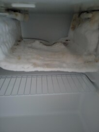 This was the freezer section of the refrigerator. I am sure this has not been cleaned in a while.