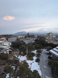 客室からの景色