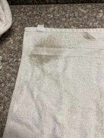 Dirt from the floor.