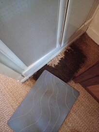 Mould on carpet by shower