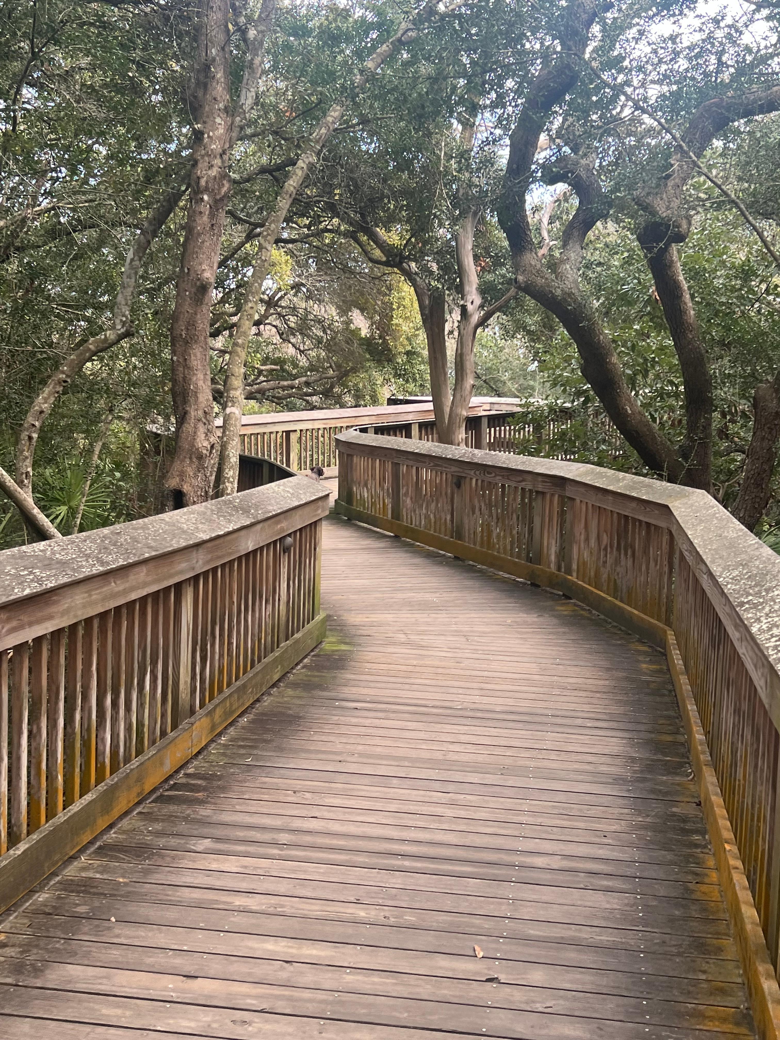 Beautiful boardwalk to the beach