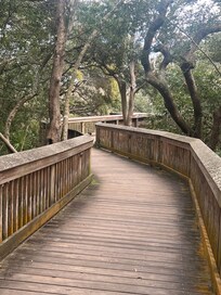 Beautiful boardwalk to the beach