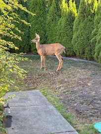 This visitor even posed for us