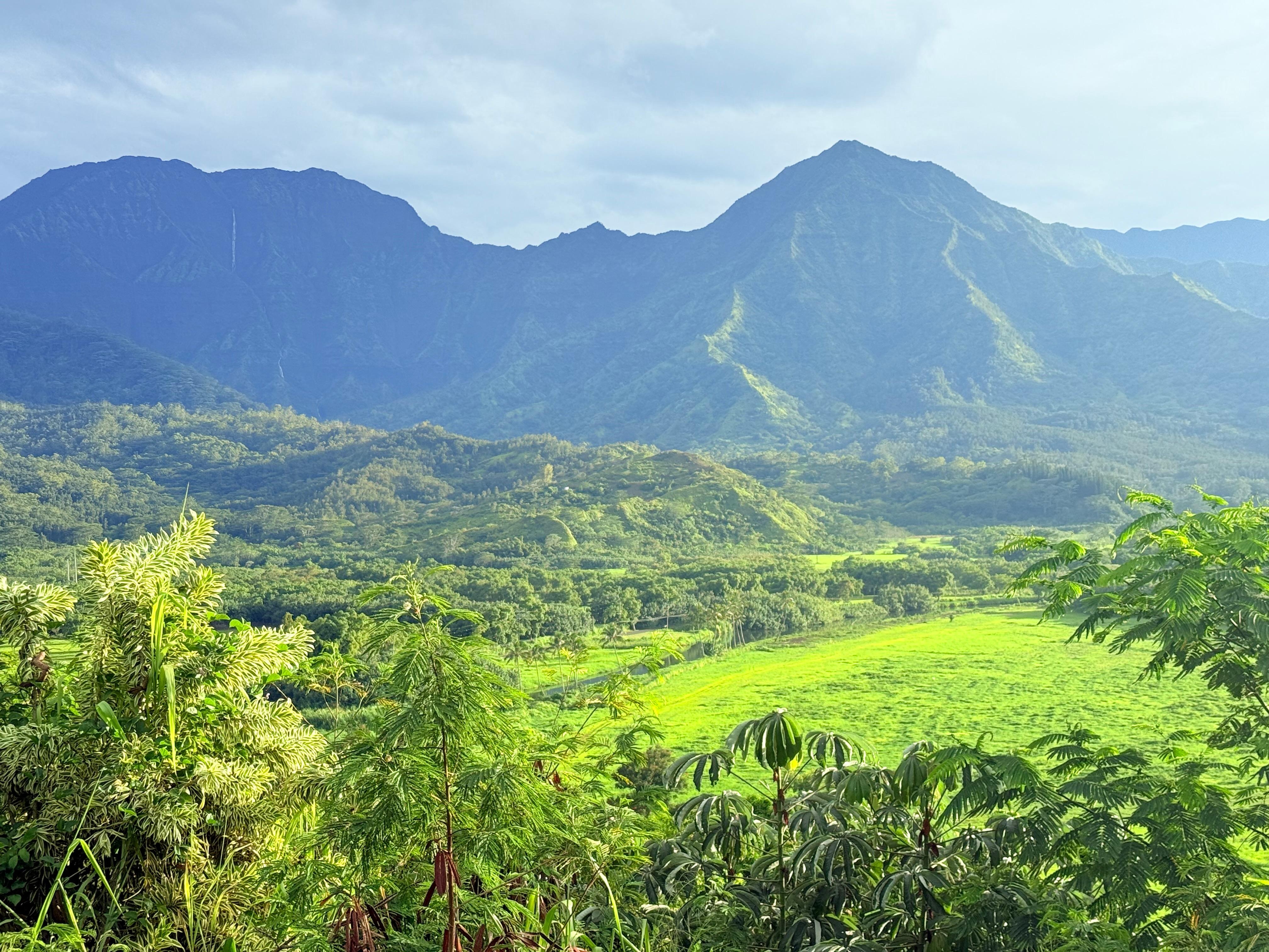 Hanalei lookout close to the condo