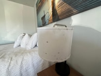 Mold on lampshade and wall