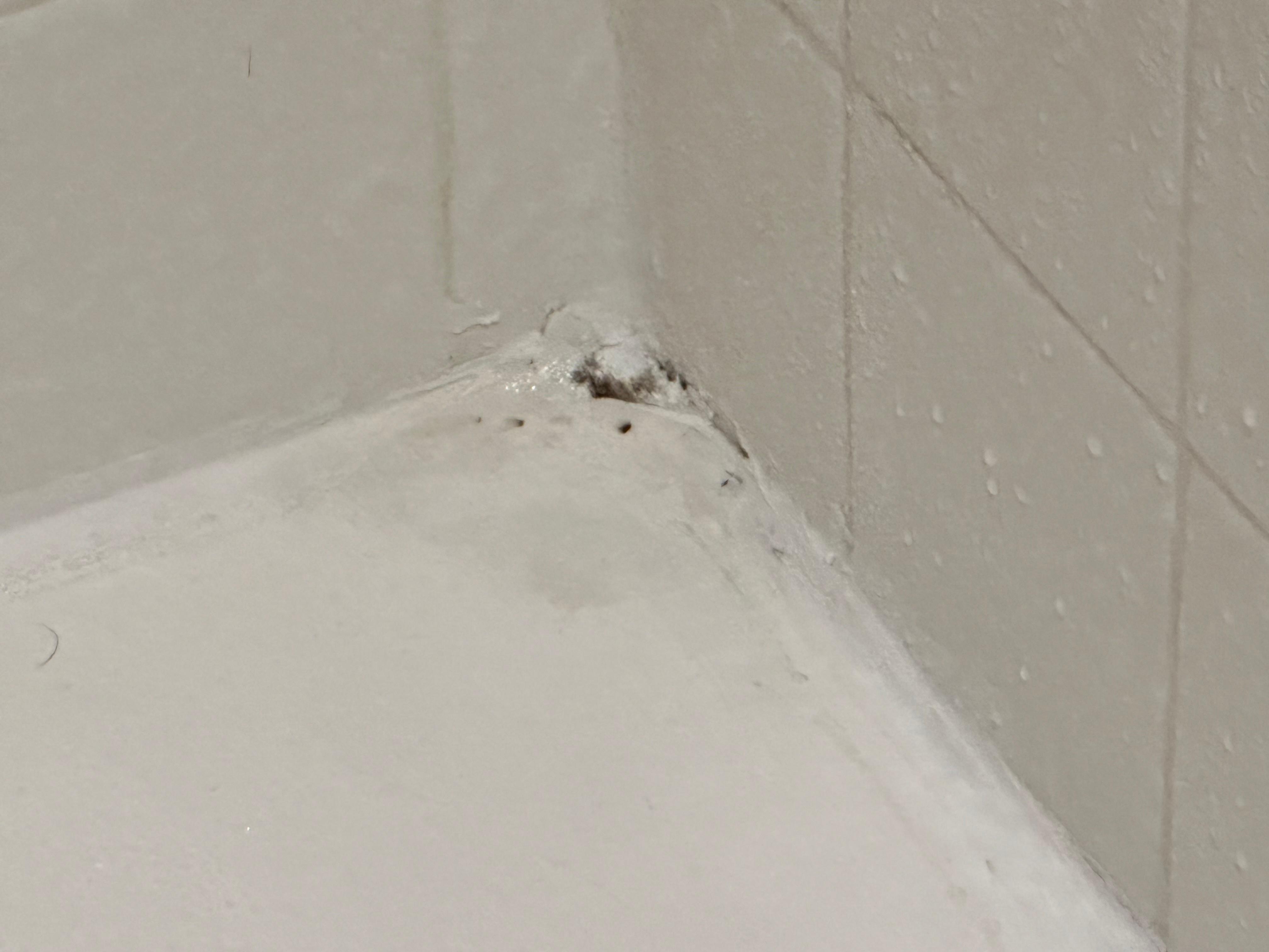 Mold in tub. Also elsewhere in bathroom 